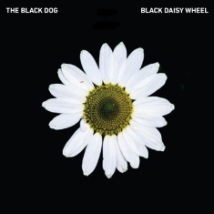 Black Dog - Black Daisy Wheel