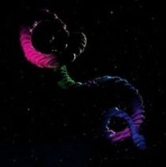 Bentley Brogan - Snake in the group OTHER / Övrigt /  at Bengans Skivbutik AB (3236105)