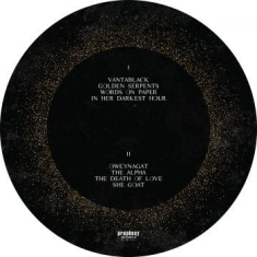 Dool - Here Now, There Then (Picture Disc)