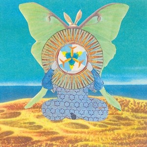 Skygreen Leopards - Jingling World Of The Skygreen Leop