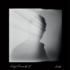Doyle Bramhall Ii - Shades