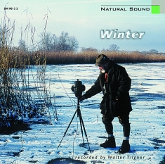 Natural Sound Recorded By Walter Ti - Winter At Lake Constance