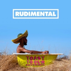 Rudimental - Toast To Our Differences (Viny