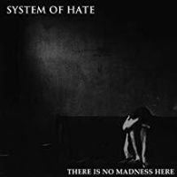 System Of Hate - There Is No Madness Here