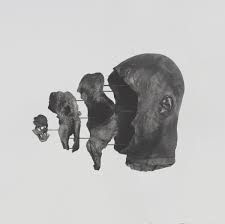 Treha Sektori - Sense Of Dust And Sheer in the group OTHER / Övrigt /  at Bengans Skivbutik AB (3511837)