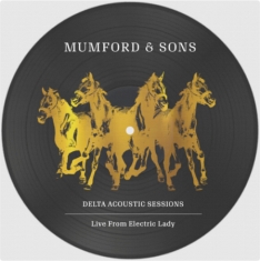 Mumford & Sons - Delta Acoustic Sessions - Live From Electric Lady 10