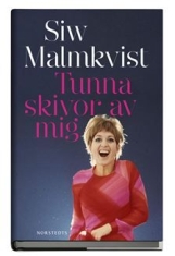 Sinners Les - Satan (Vinyl) in the group OTHER / Övrigt /  at Bengans Skivbutik AB (3601505)