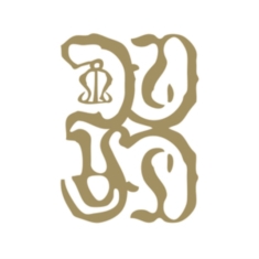 King Eider Common Eider - A Wound Of Earth