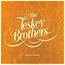 Teskey Brothers - Half Mile Harvest in the group CD / Pop at Bengans Skivbutik AB (3610644)