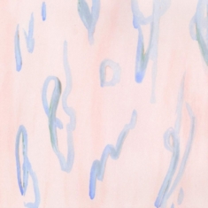 Erasers - Pulse Points