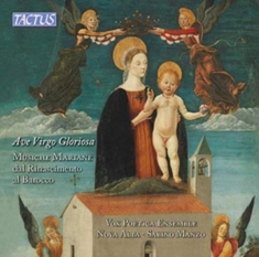 Various - Ave Virgo Gloriosa