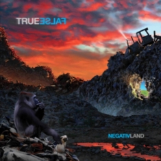 Negativland - True False