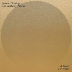 Noetinger Jérôme & Anthony Pateras - A Sunset For Walter
