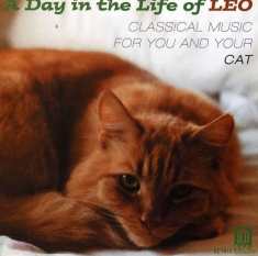 Various - A Day In The Life Of Leo
