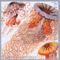 Mace Pierre-Yves - Faux-Jumeaux