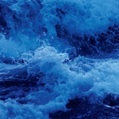 Wieselman Doug - From Water