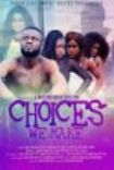 Choices We Make - Film in the group OTHER / Music-DVD & Bluray at Bengans Skivbutik AB (3724776)