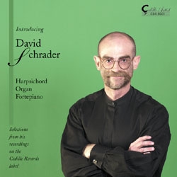 Various - Introducing David Schrader