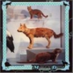 Cohen Danny - Museum Of Dannys