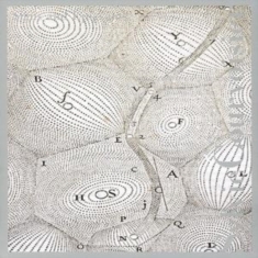 Sylvie Courvoisier - Signs And Epigrams