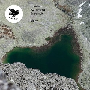 Wallumröd Christian & Ensemble - Many
