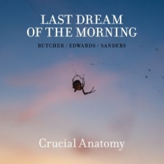 Butcher / Edwards / Sanders - Last Dream Of The Morning