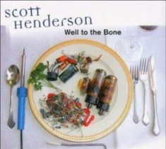 Scott Henderson - Well To The Bone