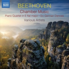 Beethoven Ludwig Van - Chamber Music (2Cd)