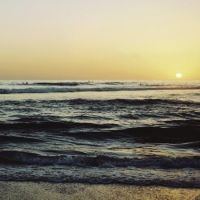 Snowgoose - Making Of You