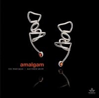 Perelman Ivo & Matthew Shipp - Amalgam