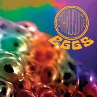 Otakusuite - Black Flower