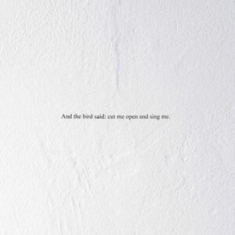 Prairie - And The Bird Said..