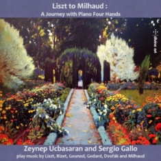 Various - Liszt To Milhaud: A Journey With Pi