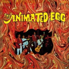 Animated Egg The - Animated Egg -Coloured-