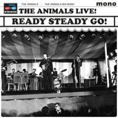 Animals - Ready Steady Go!