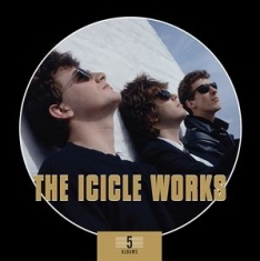 Icicle Works - 5 Albums Box Set in the group CD / Rock at Bengans Skivbutik AB (3915569)