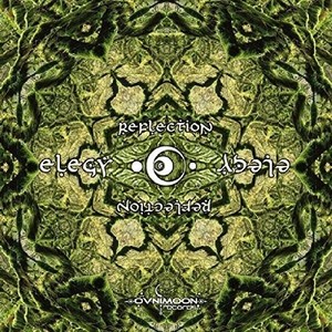 Elegy - Reflection