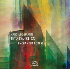 Ludemann Hans & Trio Ivoire - Enchanted Forest