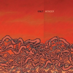 Knut - Wonder