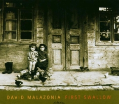 Malazonia David - First Swallow