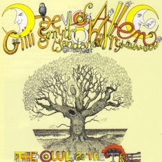 Mother Gong/Daevid Allen - Owl In The Tree