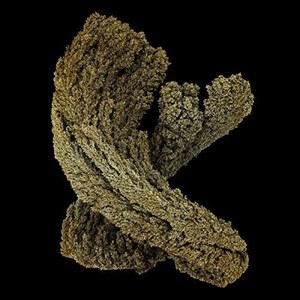 Max Cooper - Emergence -Digi-
