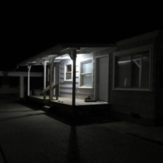 Jurado Damien - Birds Tricked Into The Trees (Coke Bottl