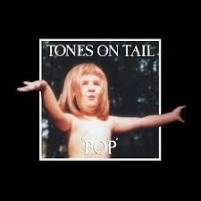 Tones on tail - Pop (Silver Foil Text On Cover) (RSD 2020) in the group VINYL at Bengans Skivbutik AB (3953083)