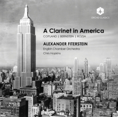 Alexander Fiterstein - A Clarinet In America
