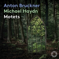 Bruckner Anton Haydn Johann Mich - Motets