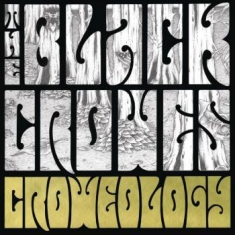 Black Crowes - Croweology (10Th Anniversary Ed.)