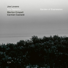 Joe Lovano Trio Tapestry - Garden Of Expression (Vinyl)