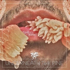 Toro Y Moi - Underneath The Pine (Desert Sun Spl