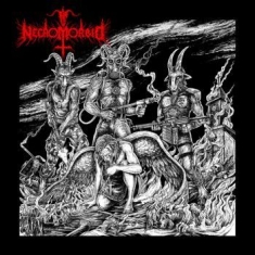 Necromorbid - Satanarchrist Assaulter (Vinyl Lp)